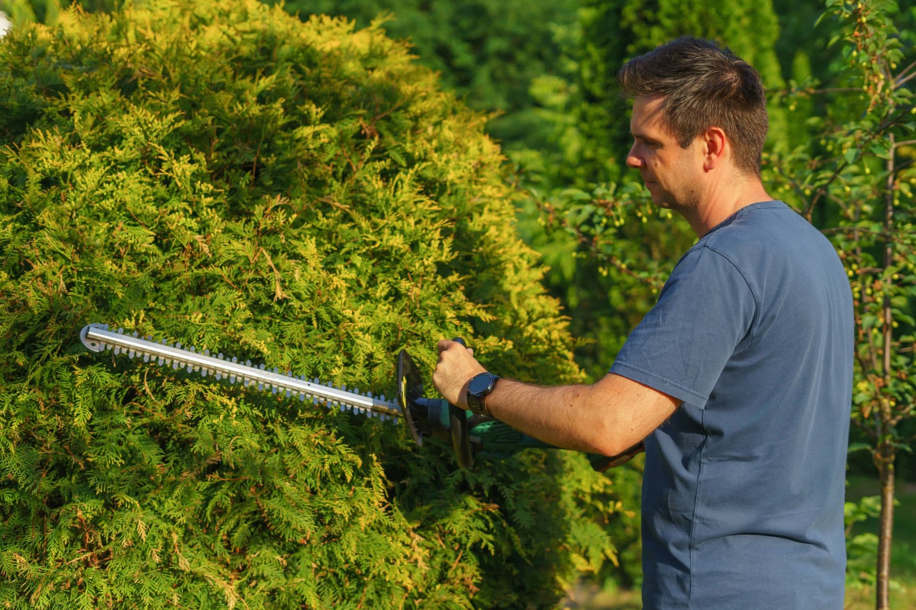 Taille de haie soignée dans un jardin - Burel Paysage, Seynod